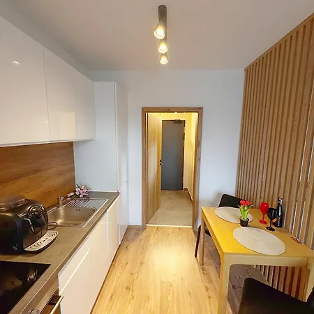 Ema Demaenovska Dolina -pavcina Lehota, Jasna , Aqvapark Apartment Liptovský Mikuláš