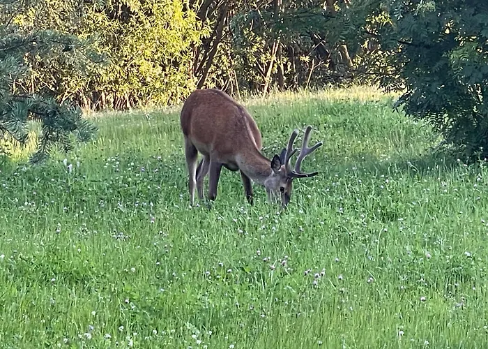 Apartment Ema Demaenovska Dolina -pavcina Lehota, Jasna , Aqvapark
